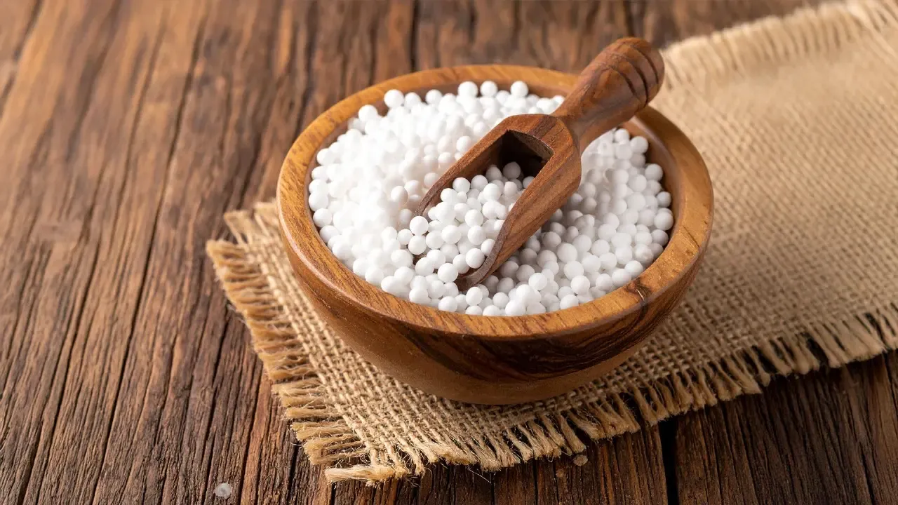 क्या साबूदाना सिर्फ उपवास का साथी है, या सेहत का भी खजाना?