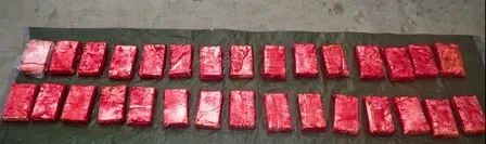 Six NSW men charged over 120 kg cocaine import from US, drug lab found