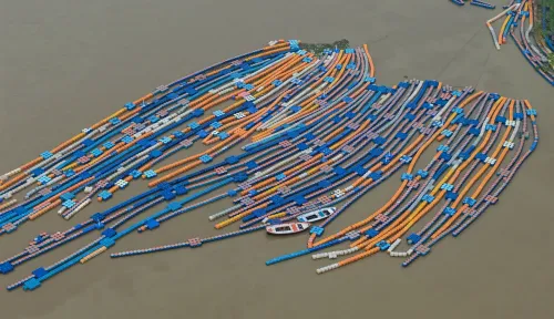 Prayagraj: Ganga and Yamuna rivers swell at Sangam
