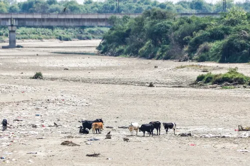 New Delhi: Yamuna River's Water Levels Dwindle During Heatwave