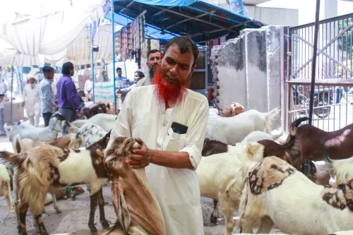 बकरा ईद से पहले नई दिल्ली के पशु बाज़ार में विक्रेता