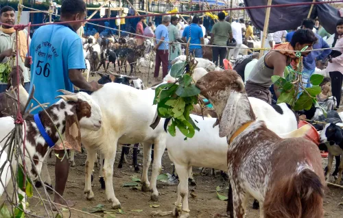 Patna: Eid al-Adha Preparations Underway at Livestock Market