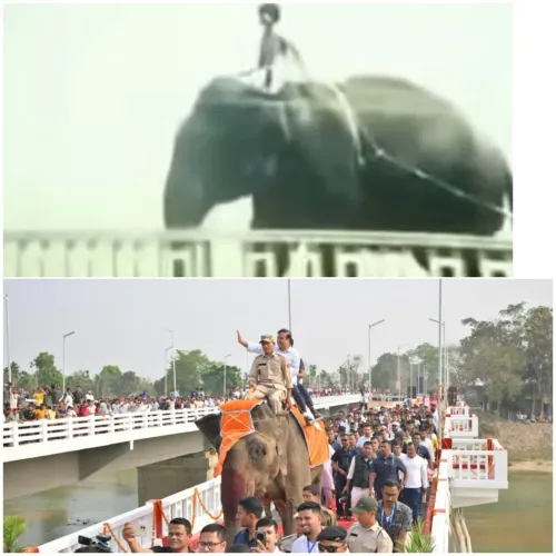 Assam Unveils 1,000 Bridges: CM Sarma Reminisces on Elephant Ride