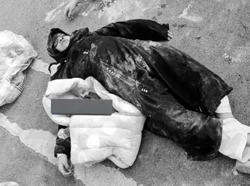 What Happened to the 10-Month-Old Girl and Her Family in Telangana's Road Accident?