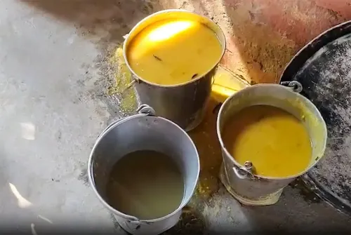 Saharsa: Children Fall ill After Consuming Mid-Day Meal At Govt School