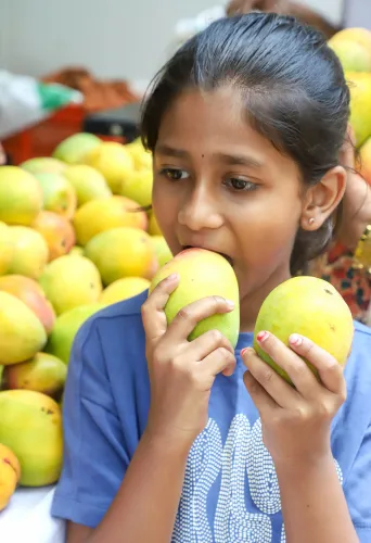Bengaluru: Mango Mela Begins at Cubbon Park