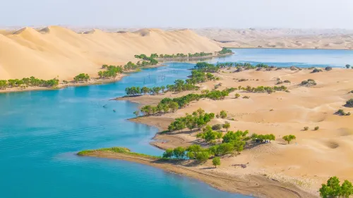 क्या चीन के शिनच्यांग में वन रोपण में बढ़ोतरी हो रही है?