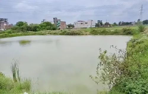 क्या बिहार की महिलाएं प्रधानमंत्री मत्स्य संपदा योजना से आत्मनिर्भर बन रही हैं?