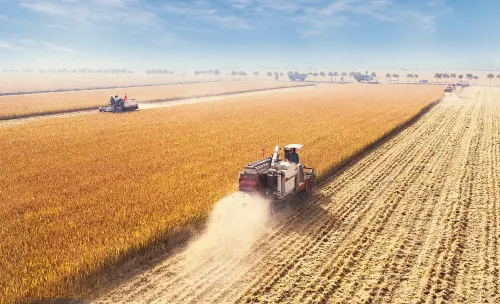 क्या 2025 में चीन का अनाज उत्पादन 7 खरब किलोग्राम से अधिक होगा?