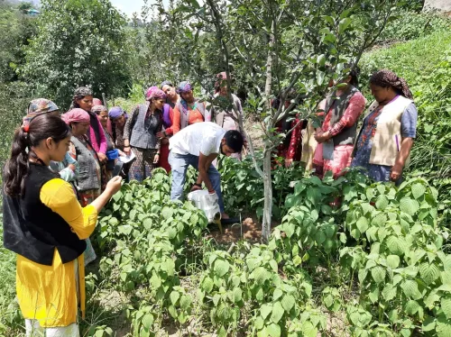 How are 222,893 farmers in Himachal cultivating crops naturally?