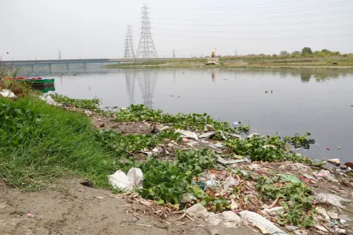 यमुना तट: विश्व पर्यावरण दिवस पर नई दिल्ली का नज़ारा