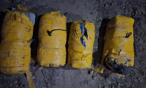 30 kg Heroin from Pakistan Seized in Punjab; One Arrested