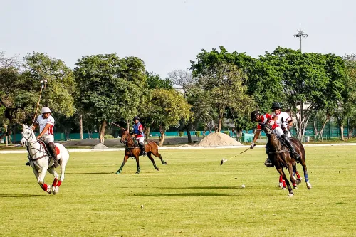 New Delhi: Defence Minister Rajnath Singh Participates in Aditya Birla Memorial Polo Cup Finale