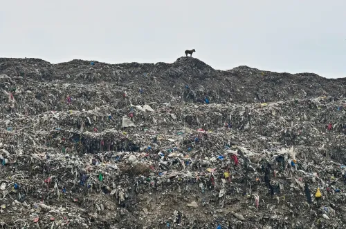 World Environment Day: Ghazipur Landfill Highlights Waste Challenge