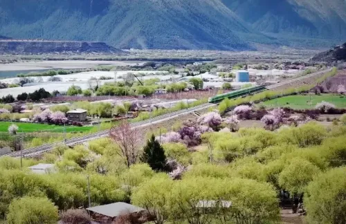 शीत्सांग की GDP 77.8 अरब युआन पार, 6.1%25 वृद्धि के साथ देश में पहला स्थान