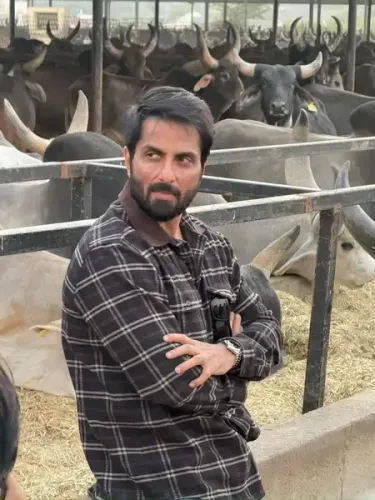 7 हजार गायों की देखभाल के लिए आगे आए सोनू सूद, गोशाला को दी 22 लाख रुपए की मदद