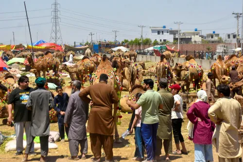 Lahore: Eid Al-Adha-Market