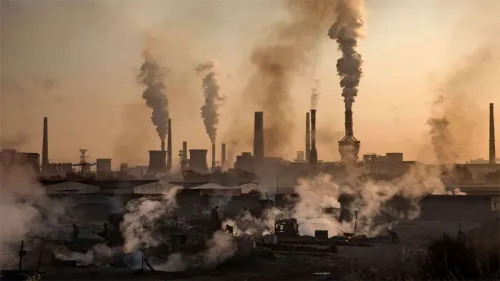 Action Window Tightens as 2024 Sets Record for Global Temperatures: Insights from Climate Expert