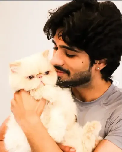 क्या जीशान खान की कार दूसरी गाड़ी से टकराई, सभी लोग सुरक्षित हैं?