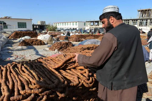 Is Nangarhar in Afghanistan Thriving Despite the Closure of the Torkham Crossing with Pakistan?