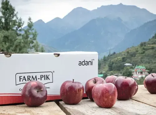 Adani Agri Fresh enters cherry procurement in Himachal; peaches, plums next