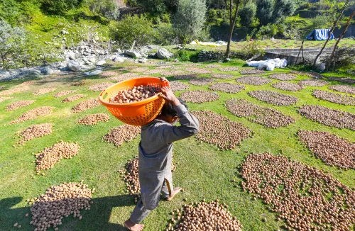 How is the Agriculture Ministry Enhancing Flexibility for States in Drip and Sprinkler Irrigation?