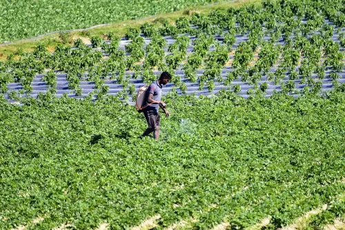 Should Agriculture Be the Cornerstone of National Transformation as per Niti Aayog's Findings?