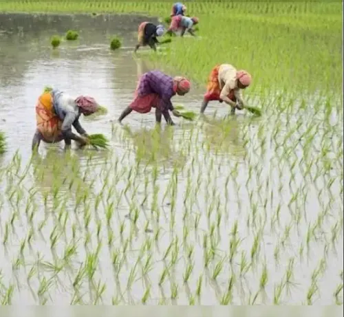 BJP Factsheet: Agriculture Sector Growth Outpaces UPA's Instability