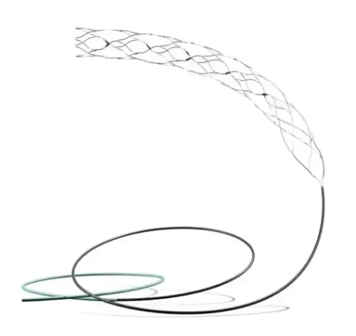 Could the AIIMS-led Trial of the Most Advanced Brain Stent Revolutionize Stroke Treatment?