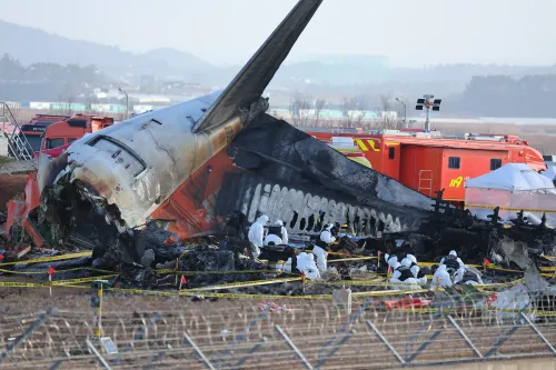 Global Air Crash Fatalities Spike to 334 in 2024, Reports German Aviation Association