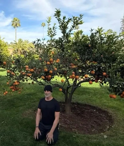 Is Akshay Kumar Contemplating His Growth Under an Orange Tree?