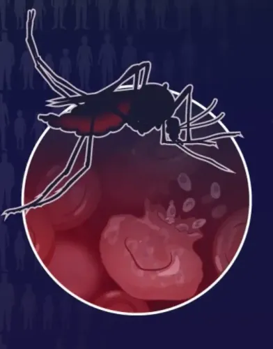 What Happened in Kerala’s Malappuram After 3 Migrant Workers Tested Positive for Malaria?