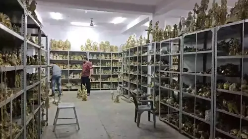 क्या अलीगढ़ में कांवड़ यात्रा के लिए मूर्तियों की मांग बढ़ रही है?