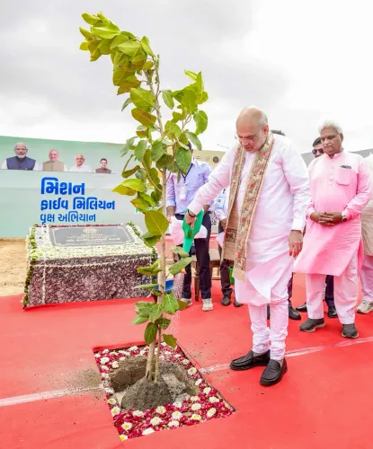 अमित शाह ने अहमदाबाद म्युनिसिपल कॉर्पोरेशन को दी बधाई, मियावाकी पद्धति से 3.61 लाख पौधे लगाकर बना गिनीज रिकॉर्ड