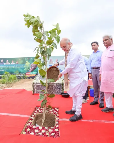 Amit Shah Plants Trees in Gandhinagar's Naranpura Segment