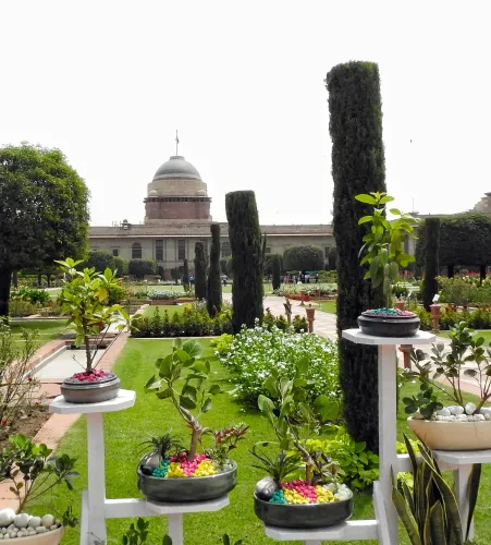 Will Amrit Udyan Welcome Visitors Starting February 3?