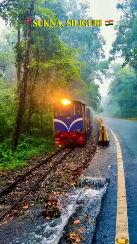Anand Mahindra Spotlights Siliguri's Monsoon Rail Journey
