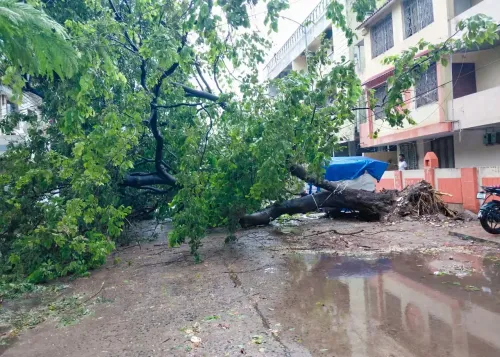 Cyclone Aranab: Andhra CM Naidu briefs Amit Shah on widespread damage, seeks Central aid