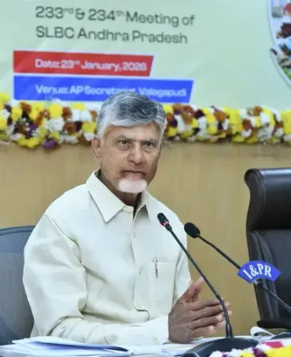 Should banks be urged to provide loans to the renewable energy sector by Andhra Pradesh CM?