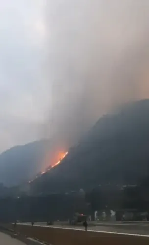 How Are the Army and IAF Combating Forest Fires in Arunachal Pradesh and Nagaland?