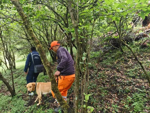 Army, ITBP join Dayara Bugyal search for missing woman trekker in Uttarkashi