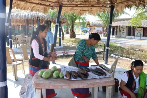 What is 'Mission Krishiveer' and How Will It Impact Farmers in Arunachal?