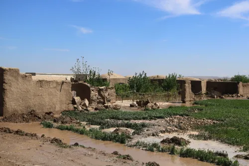 Afghanistan floods: 2,000 families hit in Nangarhar, IOM confirms