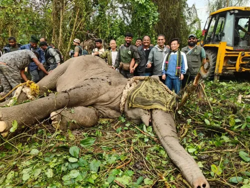 Arunachal Pradesh CM Applauds Successful Capture of Two Rogue Elephants After Fatal Incidents