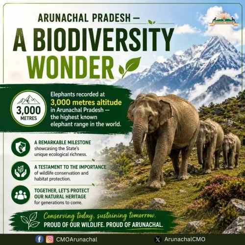 Arunachal Pradesh logs elephant presence at 3,000m altitude