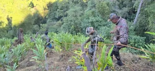 What Happened in the Arunachal Truck Accident? Search Operation Concluded with 20 Bodies Recovered