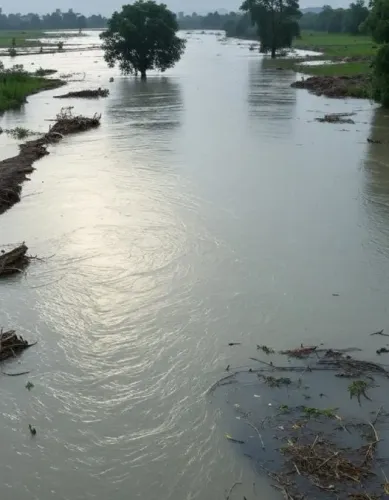 क्या असम, बिहार, उत्तराखंड और अन्य राज्यों में बाढ़ की स्थिति गंभीर है?