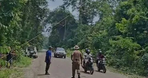 Assam CM Office: Canopy Bridges Aid Golden Langurs