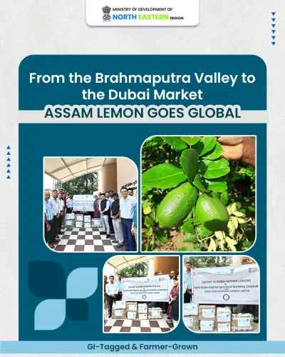 Assam CM Office: GI-tagged lemons now reaching Dubai