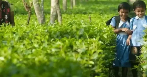Assam CM Office Launches Transport & Escort for Tea Garden Students